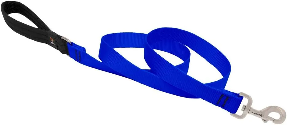 1in Blue 6ft Leash