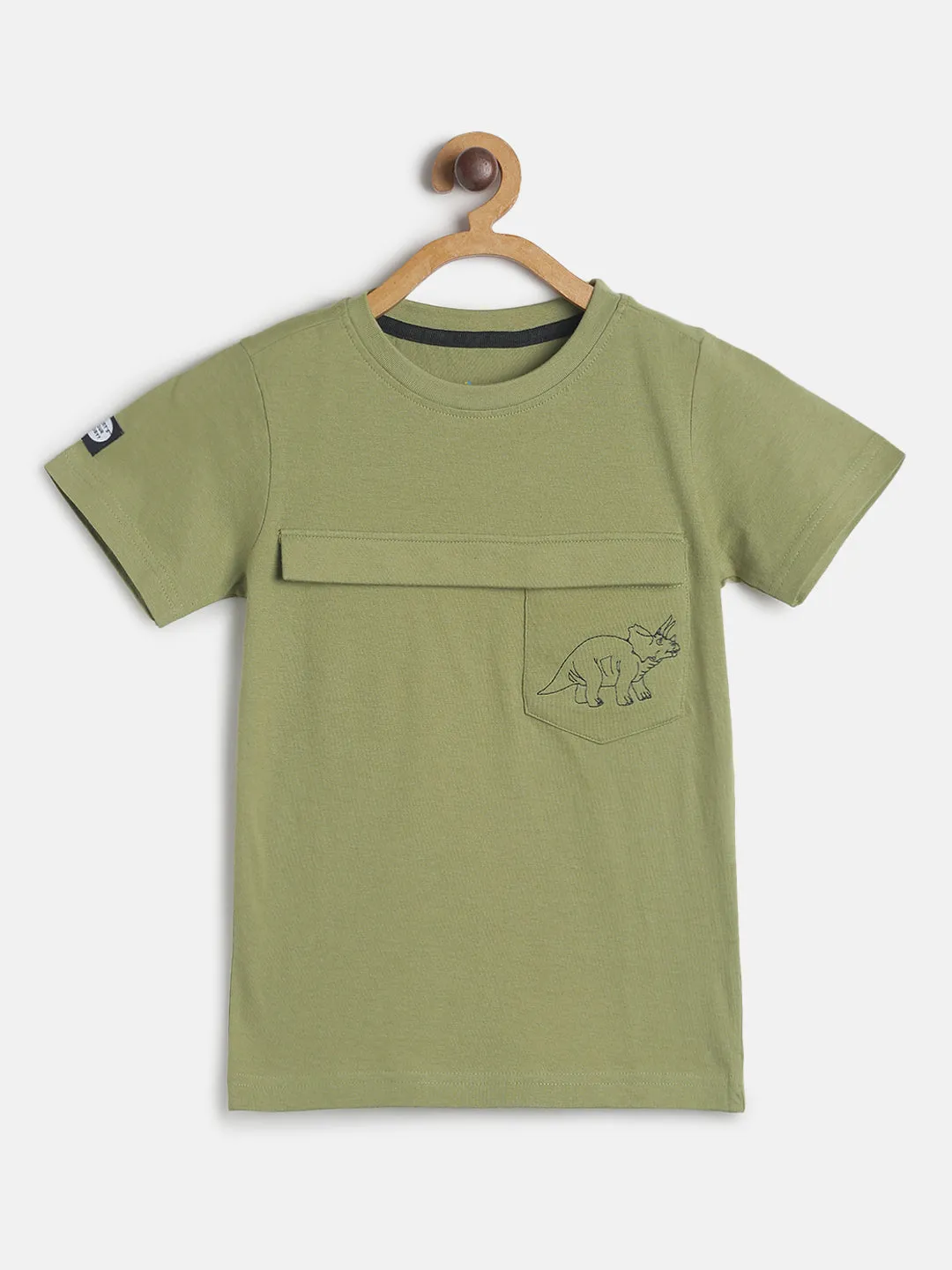 Boys Green Regular Fit Round Neck Cotton T-shirt