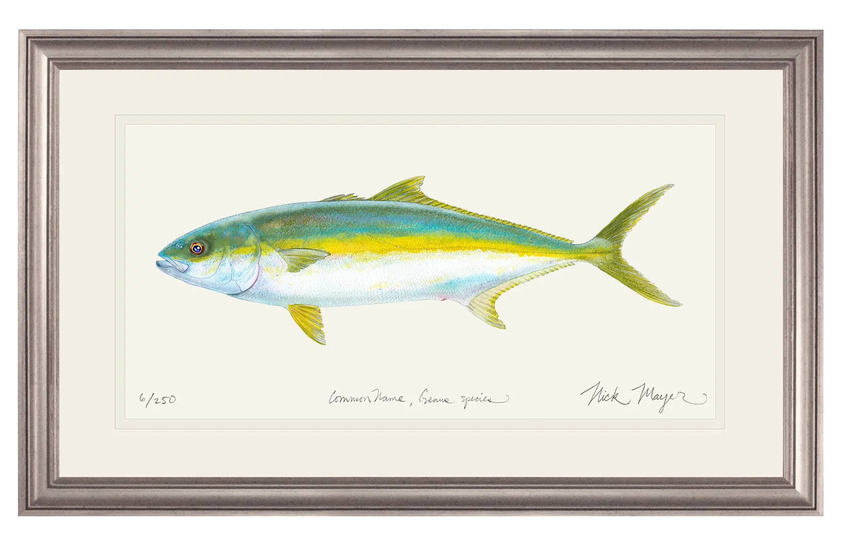 California Yellowtail I Print