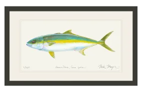 California Yellowtail I Print