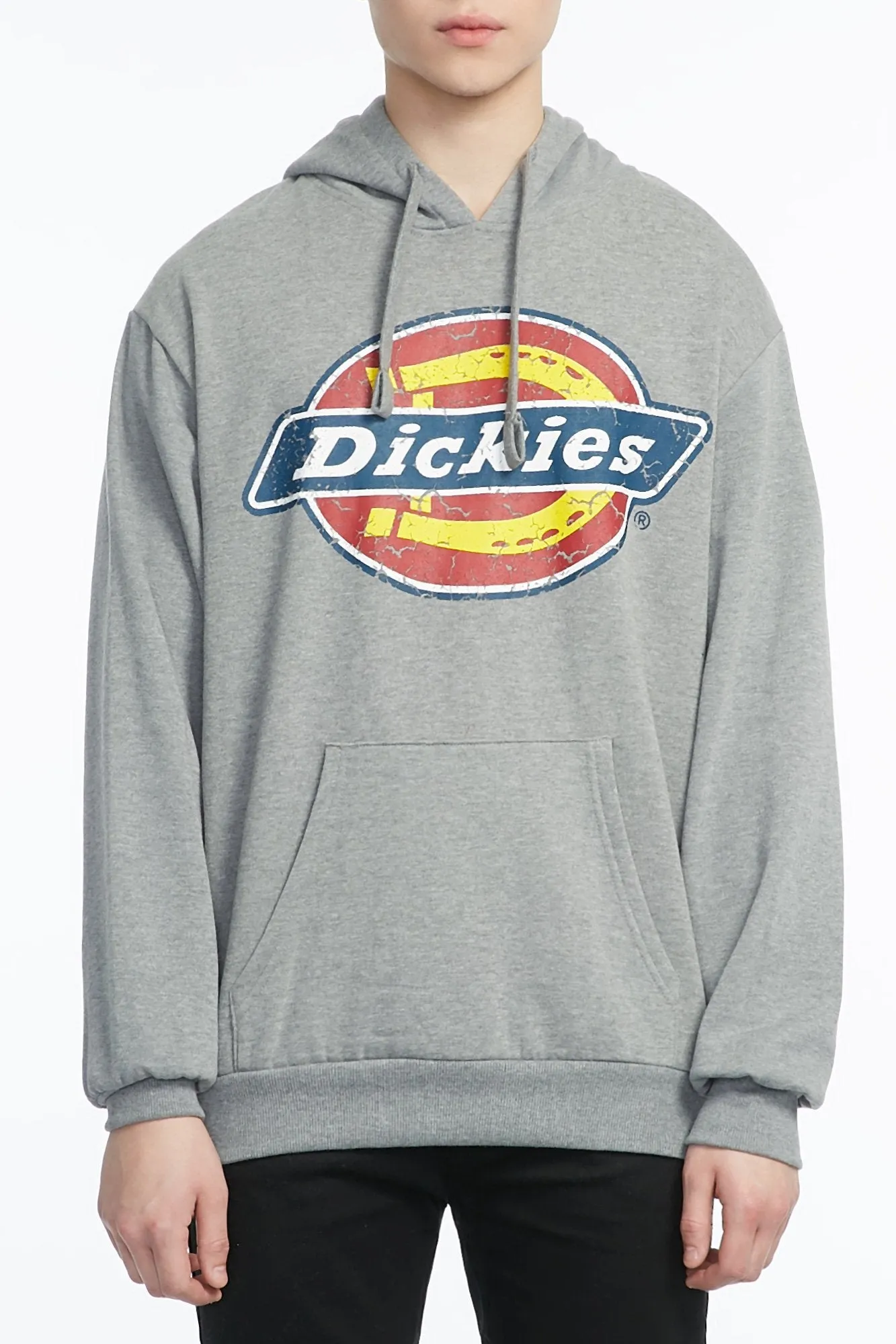 Dickies Guys Graphic Fleece Popover Hoodie