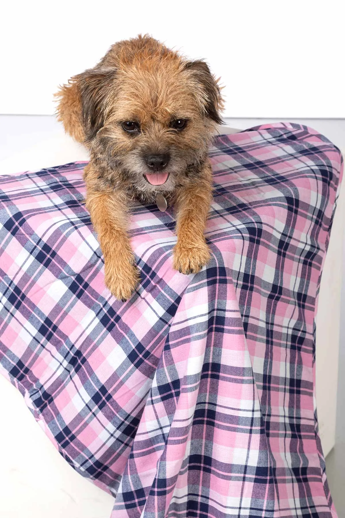 Fleece Dog Blanket - Yapham