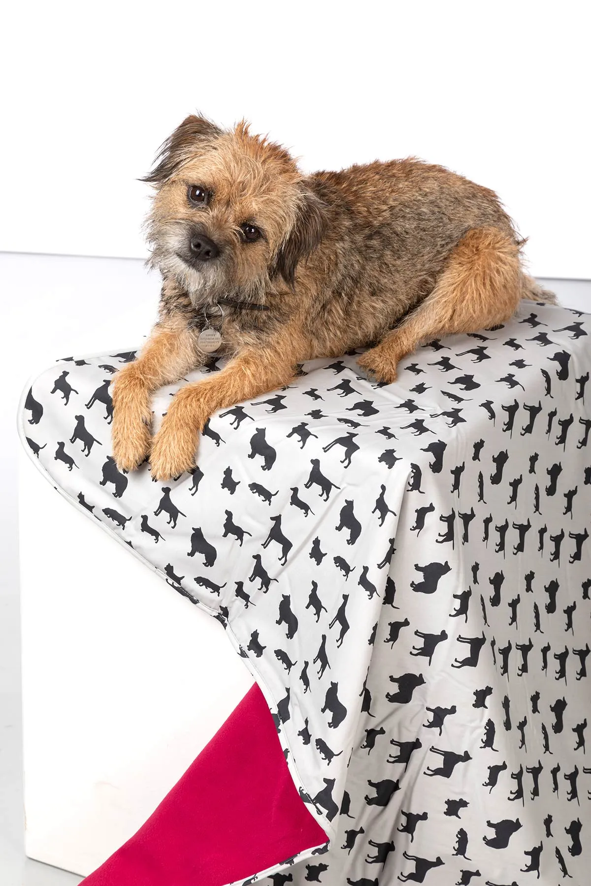 Fleece Dog Blanket - Yapham