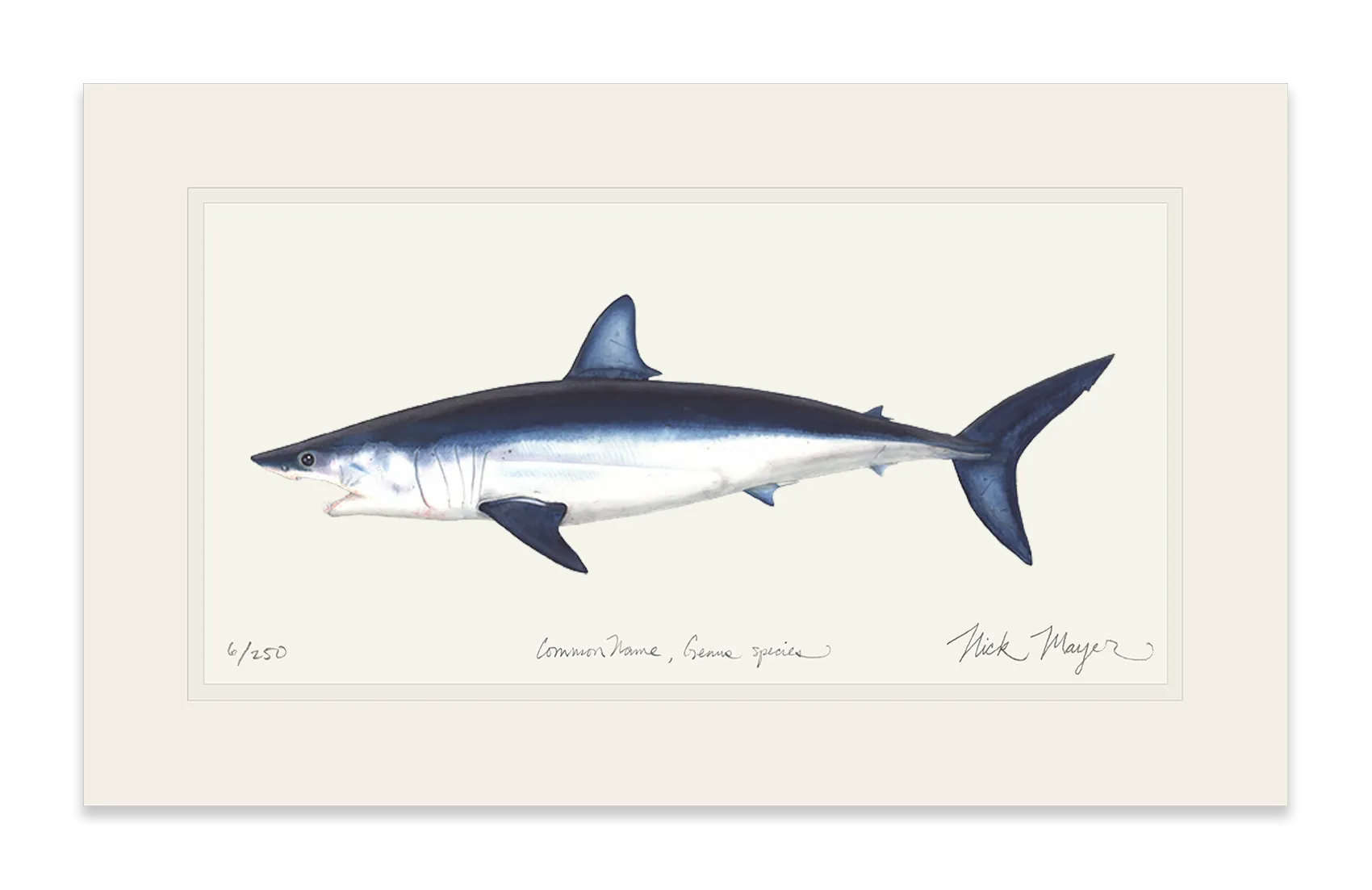 Mako Shark Print