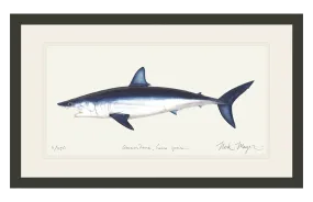 Mako Shark Print