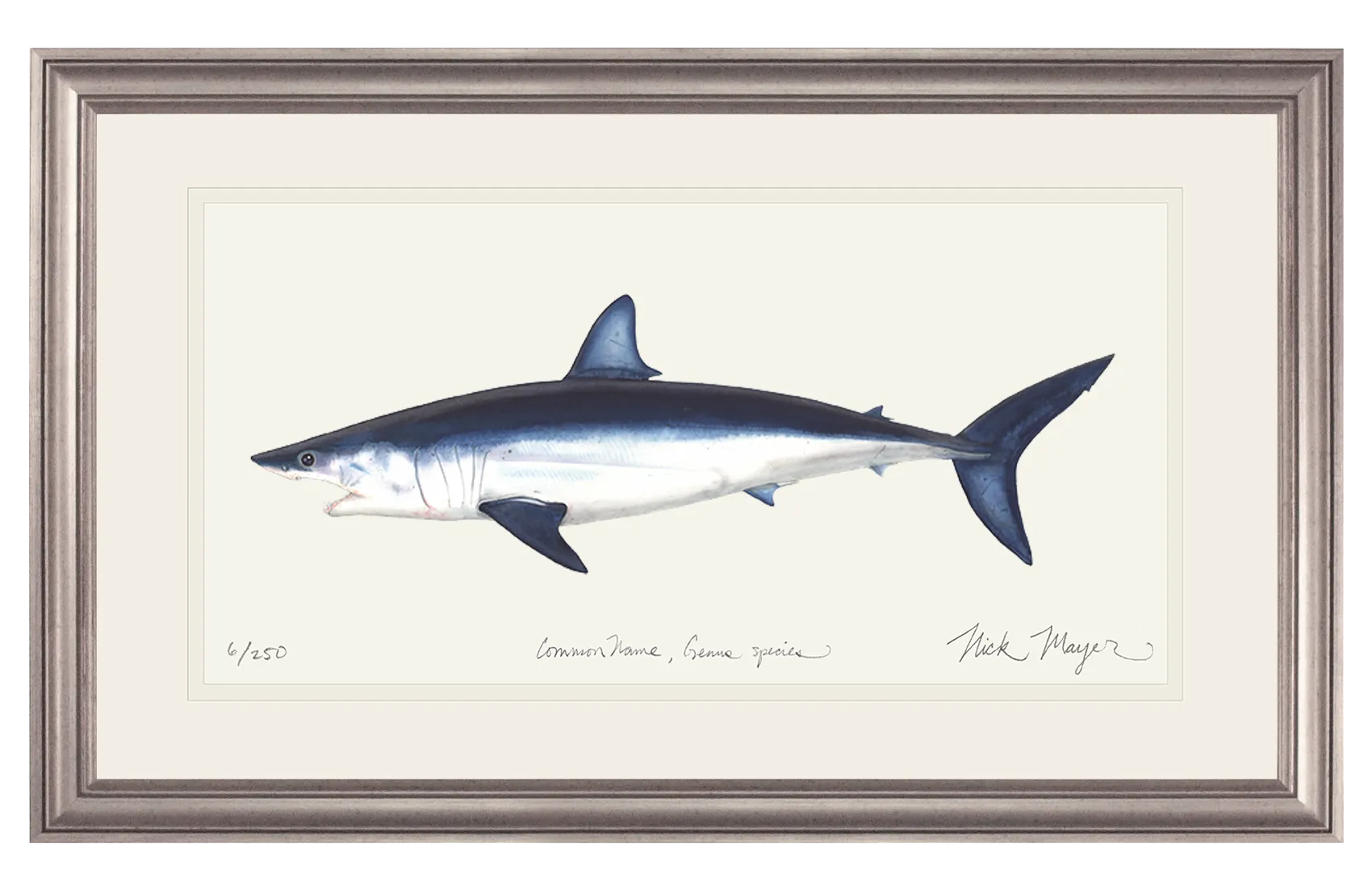 Mako Shark Print