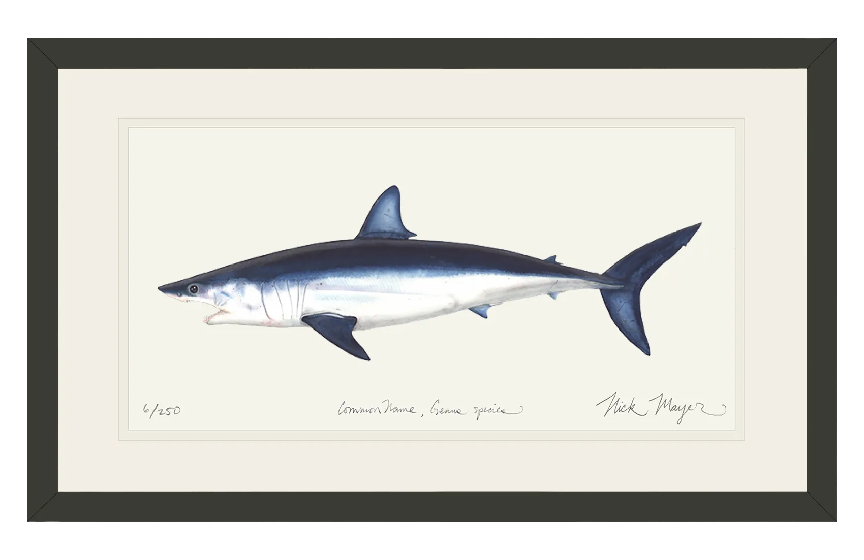 Mako Shark Print