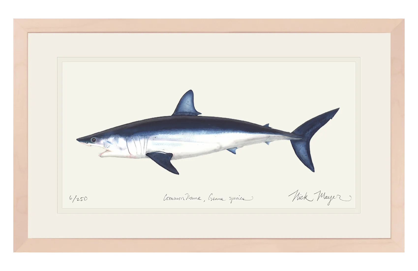 Mako Shark Print