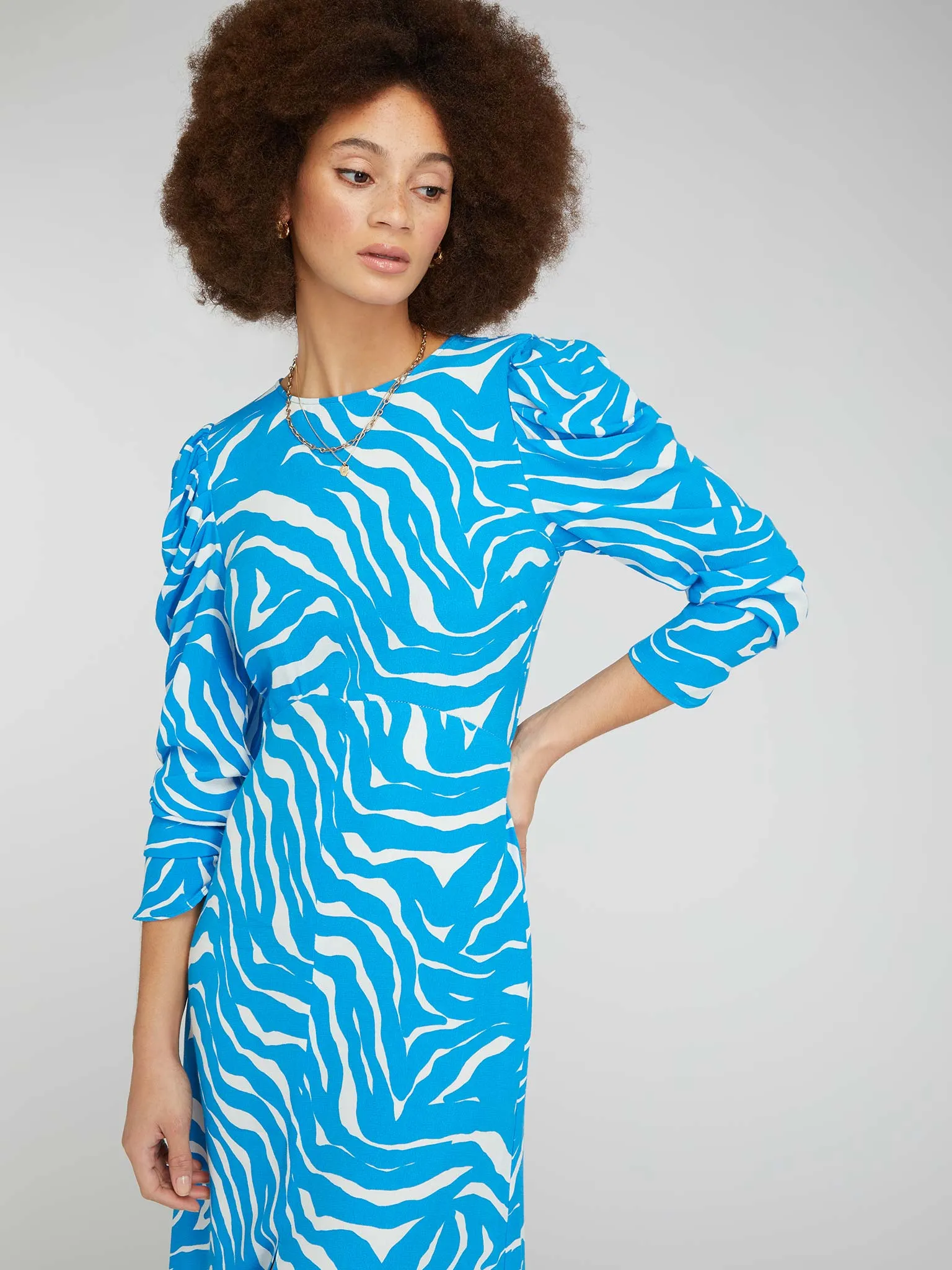 Marie Tea Dress in Blue Zebra Print