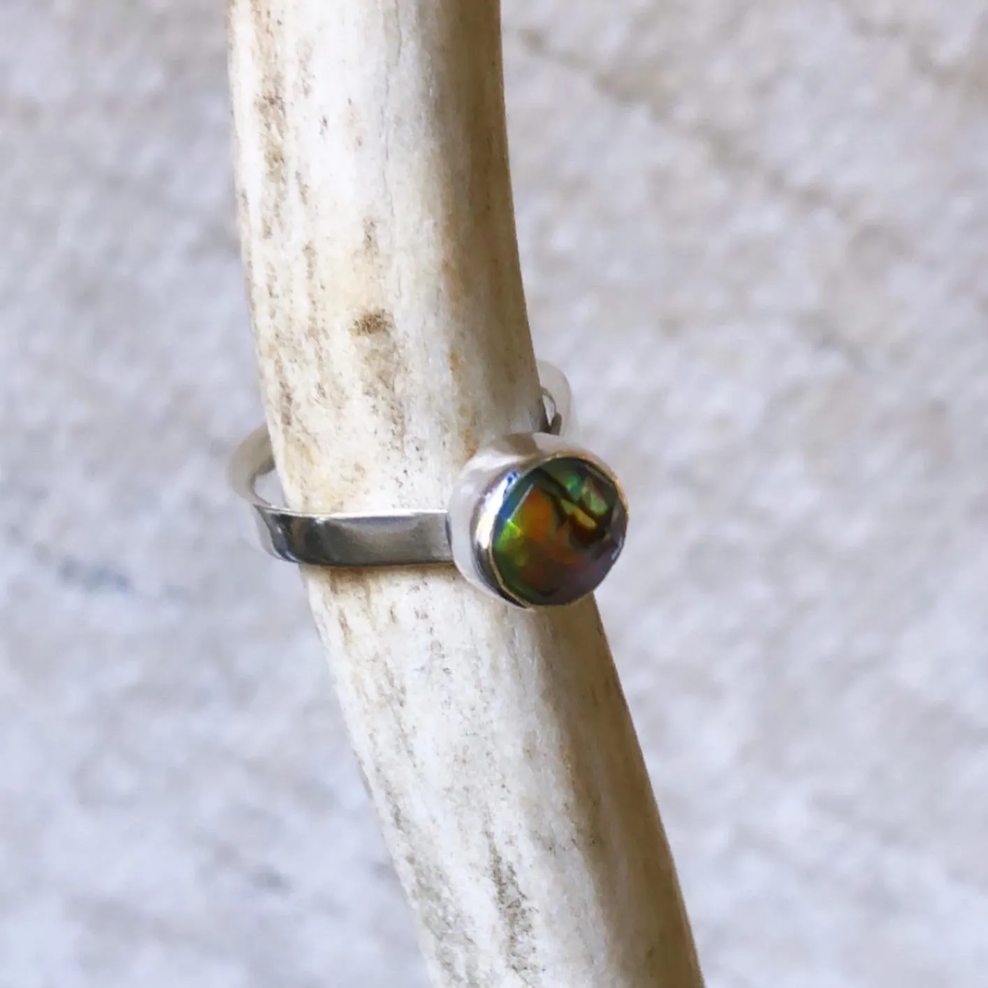 Sweet Abalone Ring